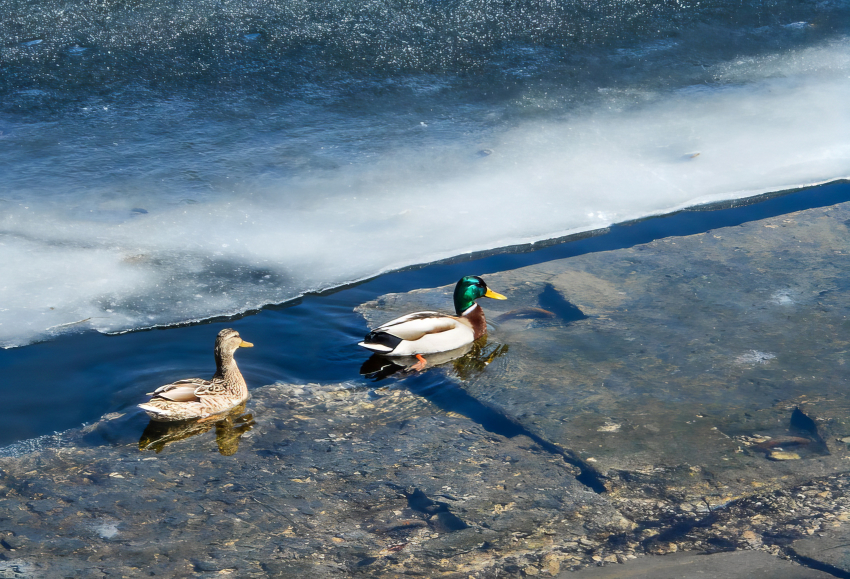 Это не шутка: глава Камышина Зинченко сегодня, 30 марта, подписал распоряжение о «досрочном» завершении отопительного сезона с 1 апреля