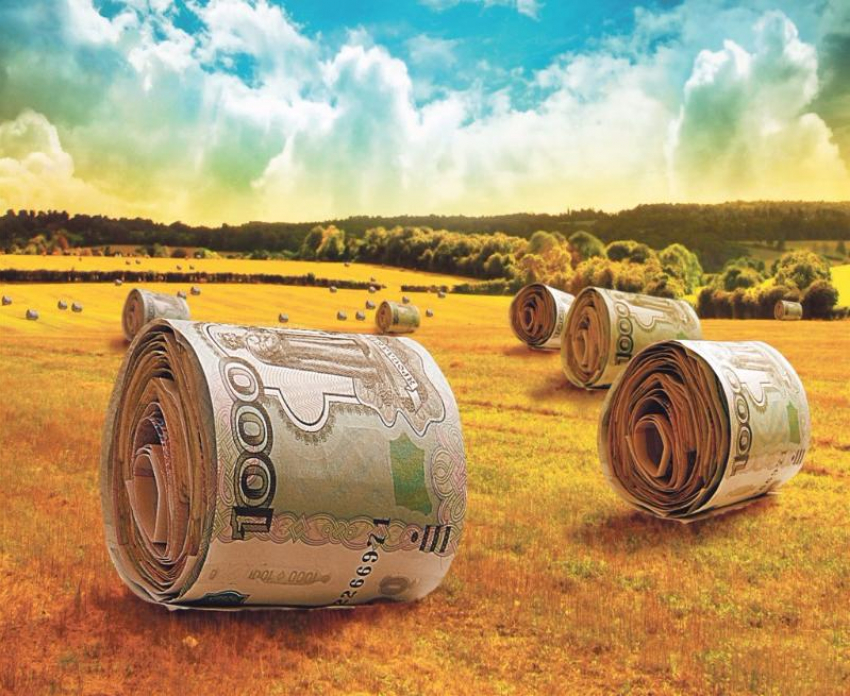 400 рублей на гектар могут получить аграрии Камышинского района