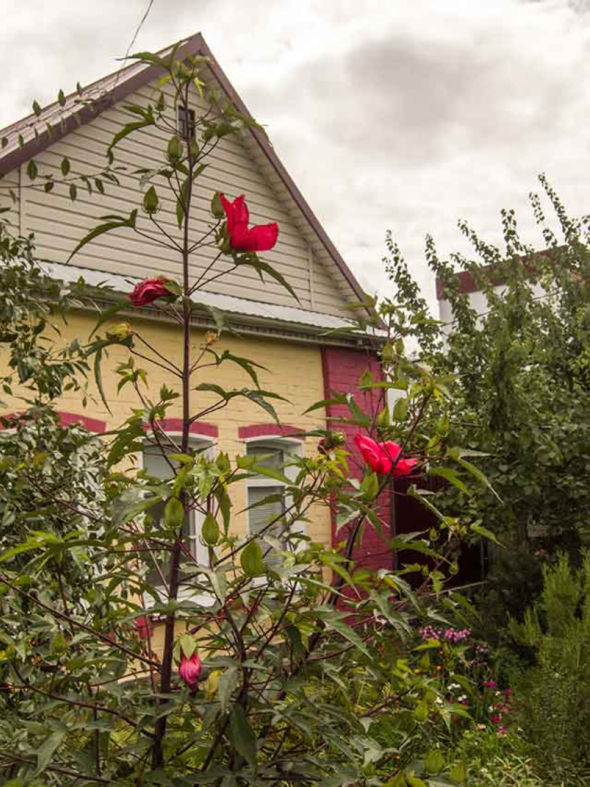 Отключения света по десяткам адресов намечены в Камышине на сегодня, 14 сентября
