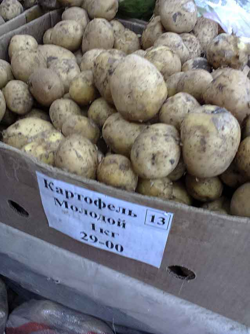 В сетевиках Камышина молодой картофель гораздо дешевле, чем на рынке, но по качеству сильно проигрывает местному «второму хлебу"