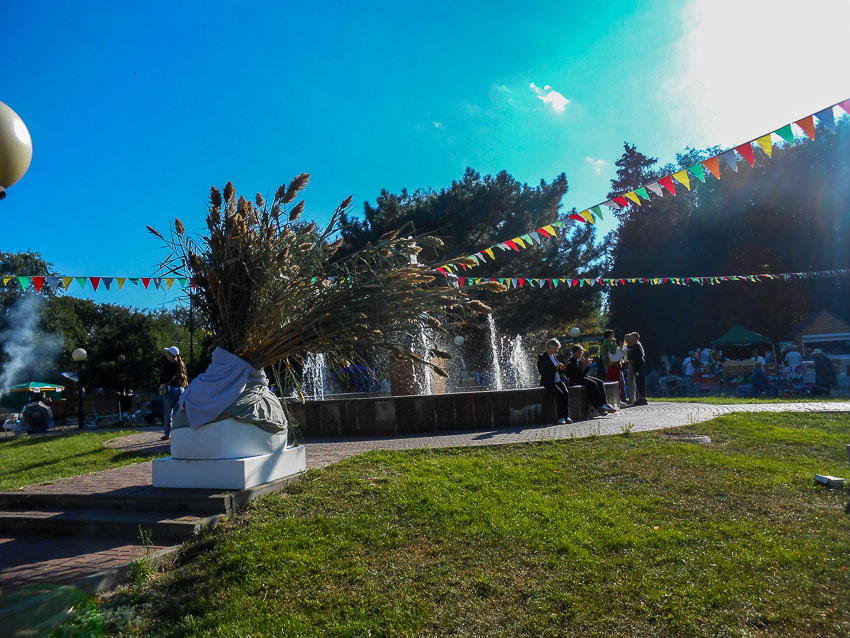 В Камышине в парке Комсомольцев-добровольцев на Дне города поют песни, жарят шашлыки, а главную площадку украсили снопом  камыша (ВИДЕО)