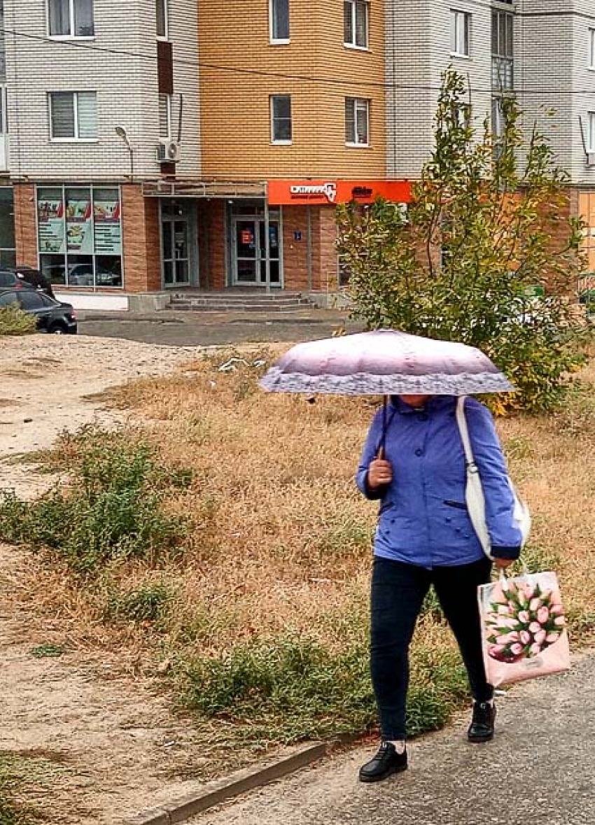 Весь день в среду, 16 октября, в Камышине будет моросить дождь, но немного потеплеет