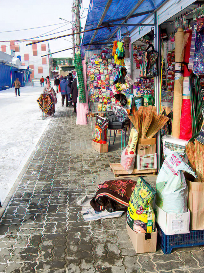 В Камышине продавцы на рынке оставляют свои рабочие места на собак-сторожей? - камышанка