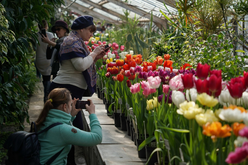 Жители Волгоградской области устроили аншлаг на выставке первоцветов в ботаническом саду