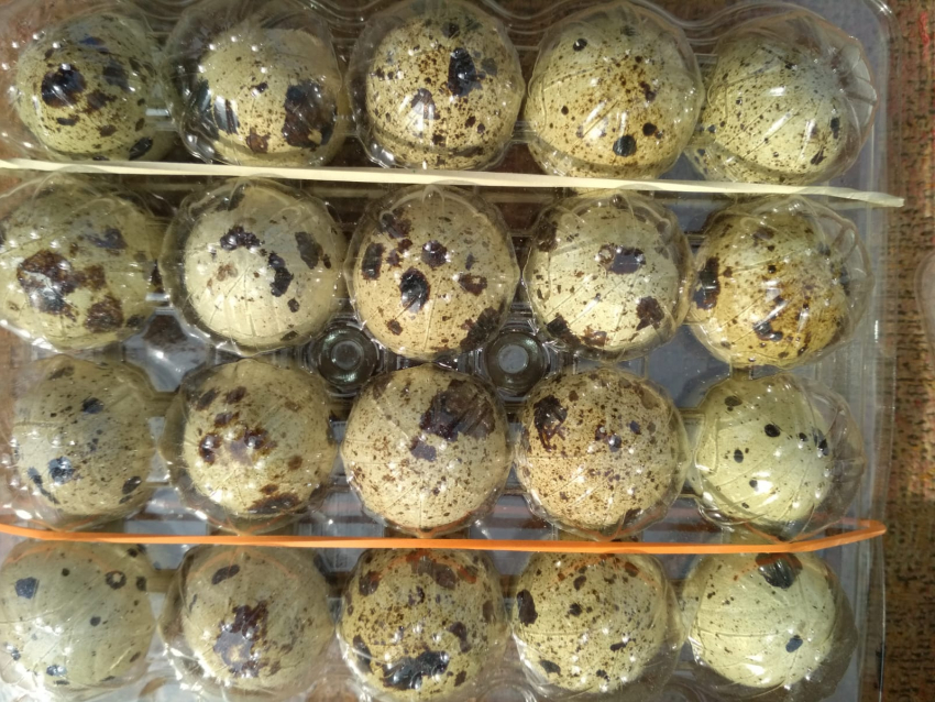 Покупатели оценили витаминную «бомбу» на центральном рынке Камышина - перепелиные яйца