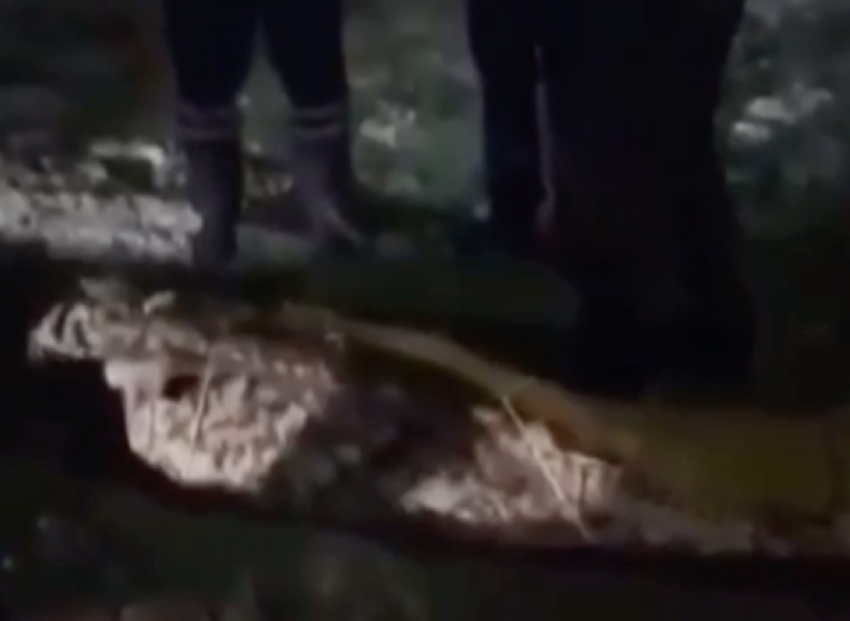 СУ СК о теле, завернутом в ковер: несчастного убил отверткой однокурсник, убийца жил с трупом в одной квартире пять дней