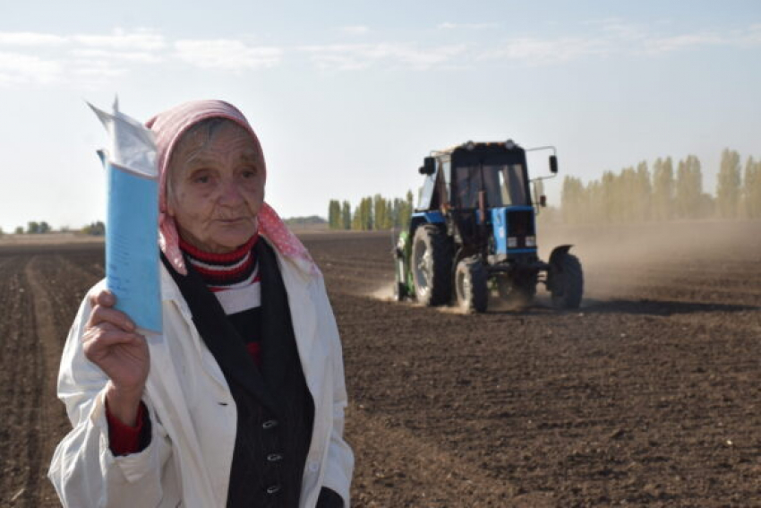 Какую «чудо-сеялку» задействовали аграрии Камышинского района во время осенних полевых работ
