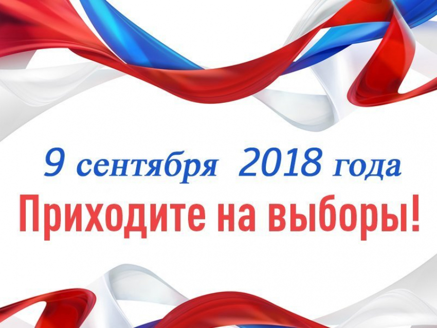 Глава Камышина Владимир Пономарев и глава администрации города Станислав Зинченко опубликовали свое последнее обращение градоначальнической парой - позвали камышан на выборы