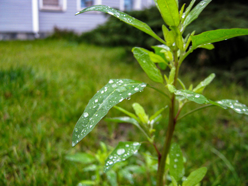 Туманно и тепло: погода в Камышине 14 ноября