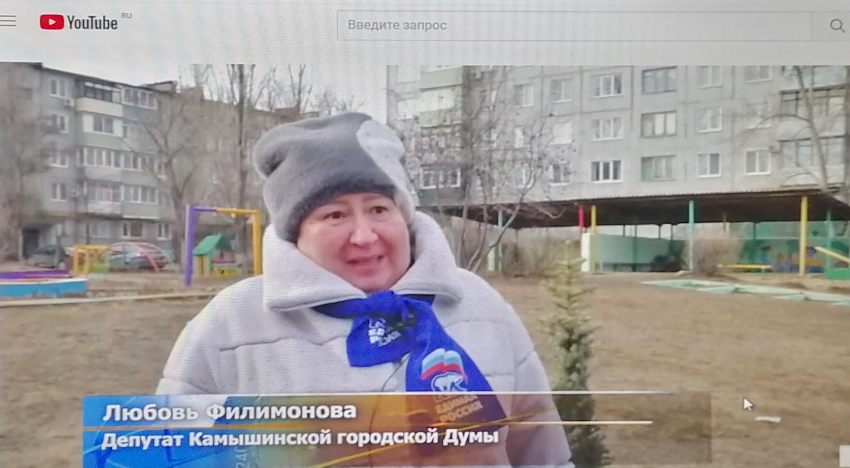 В Камышине депутаты и чиновники повязали шарфы «Единой России» и опять пошли сажать елки