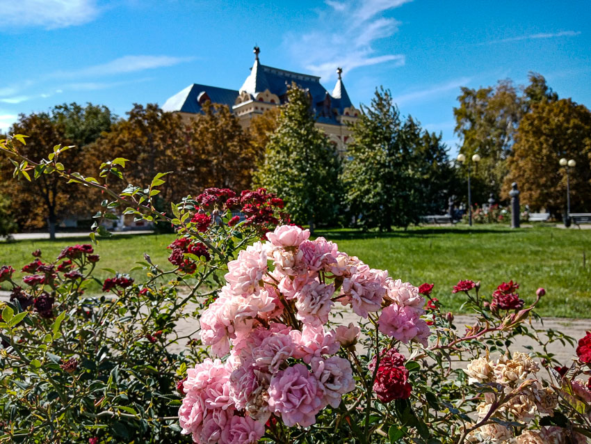 Тепло и солнечно: райские дни дарит природа камышанам в начале октября