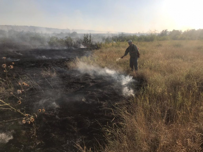 Как в Камышинском районе спасали от пожара дубовый лес под Антиповкой