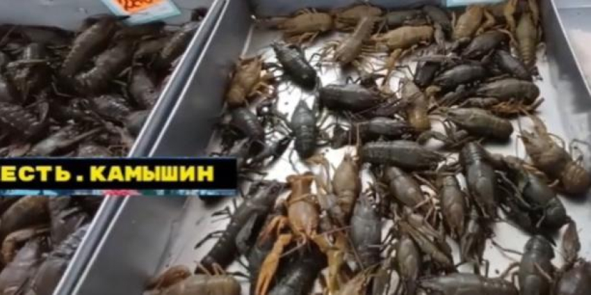 Камышан предупреждают: поймаете раков - не расплатитесь!