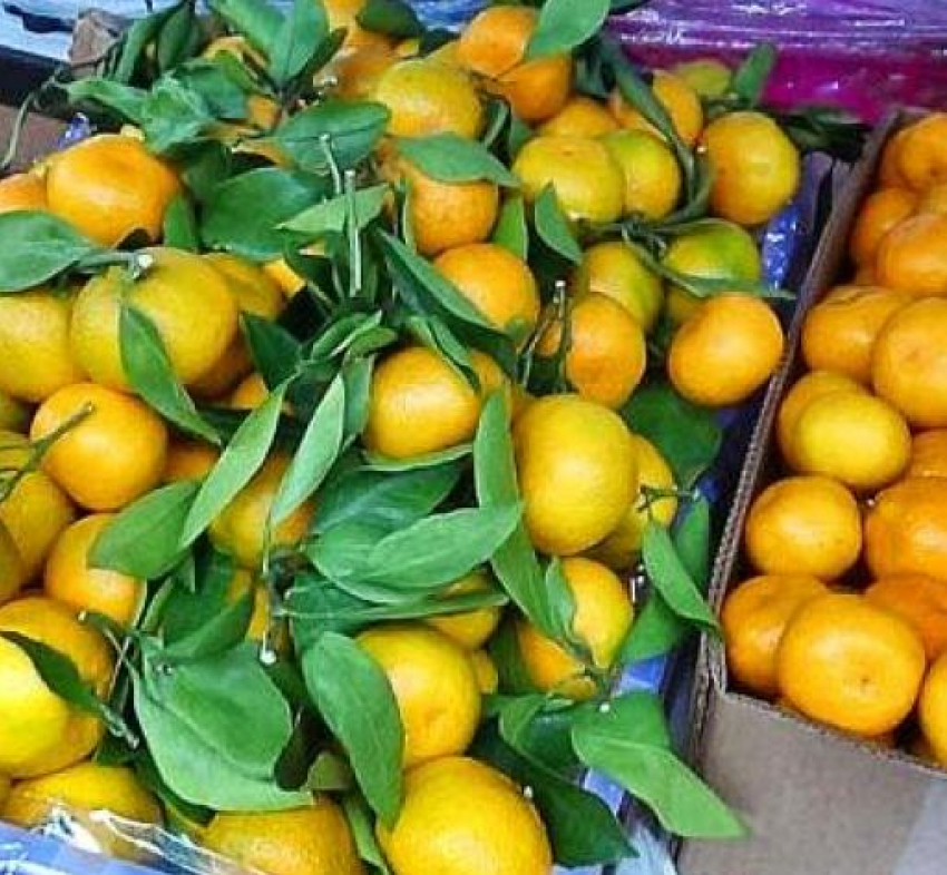 В Камышине начали продавать мандарины