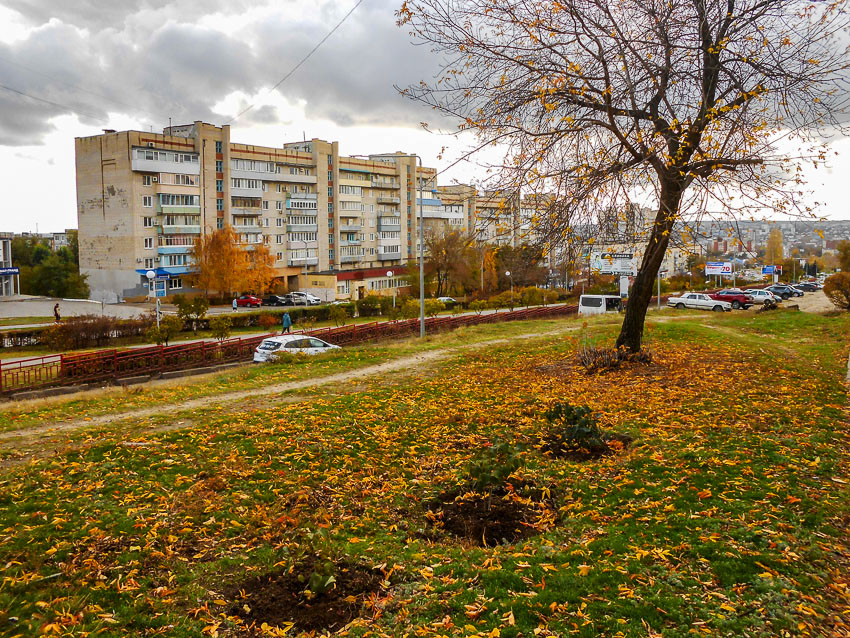 Тепло, но разыграется геомагнитный мегашторм: погода в Камышине 6 и 7 ноября