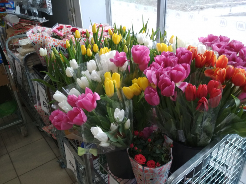 В Камышине крупные сетевики превратились в рынки тюльпанов