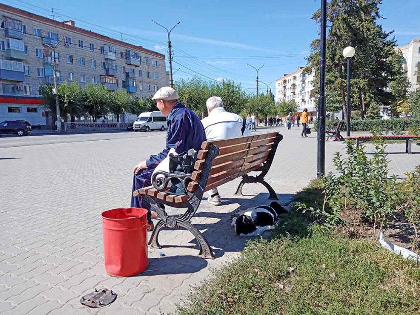 Спасибо людям добрым, помогли отбиться от бродячей псины на улице Ленина, но я срочно запускаю петицию против властей,- камышанка