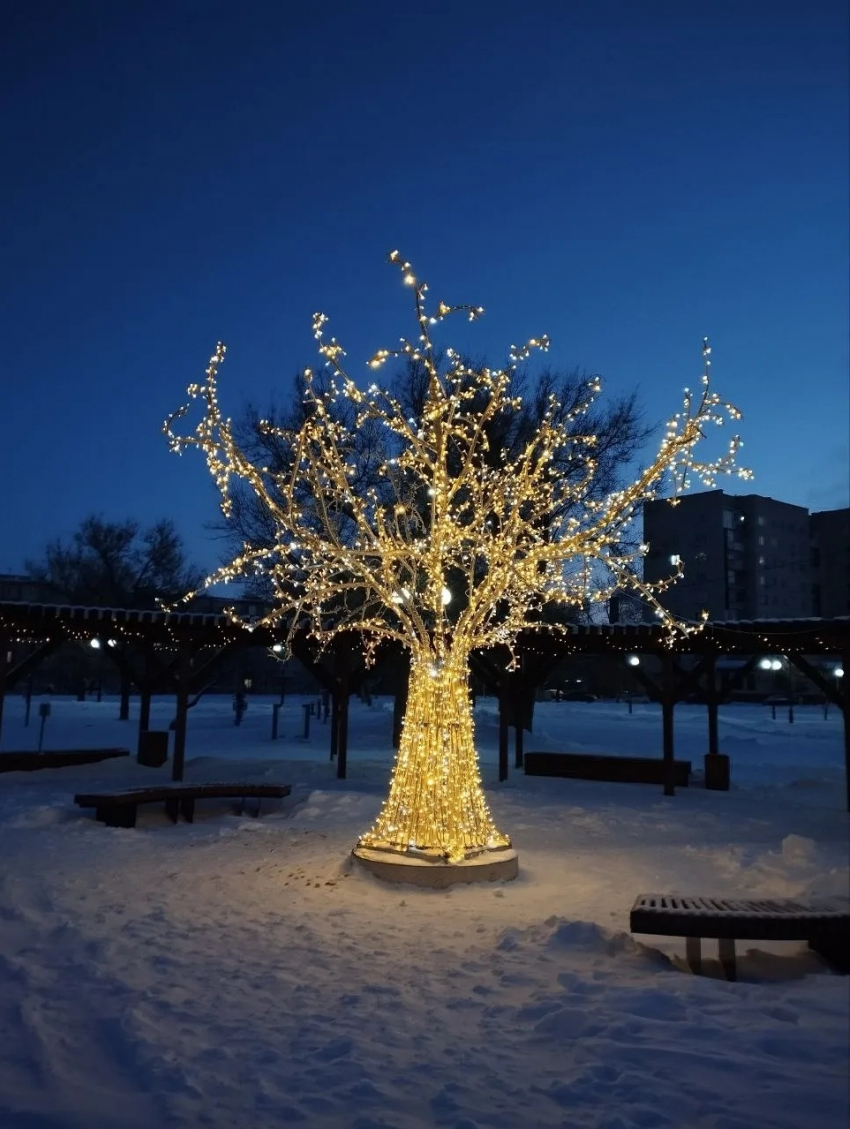 В Камышине починили и вернули на набережную разбитое ураганом светящееся дерево