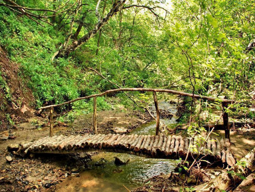 Директор природного парка «Щербаковский» прокомментировала скандальную новость о незаконно отчужденных землях