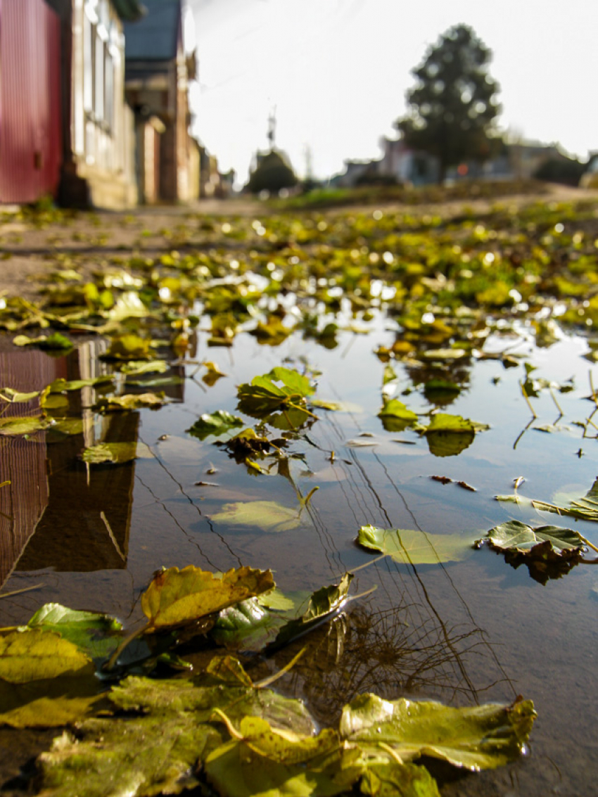 За отключения интернета в особых случаях в России отвечать никто не будет