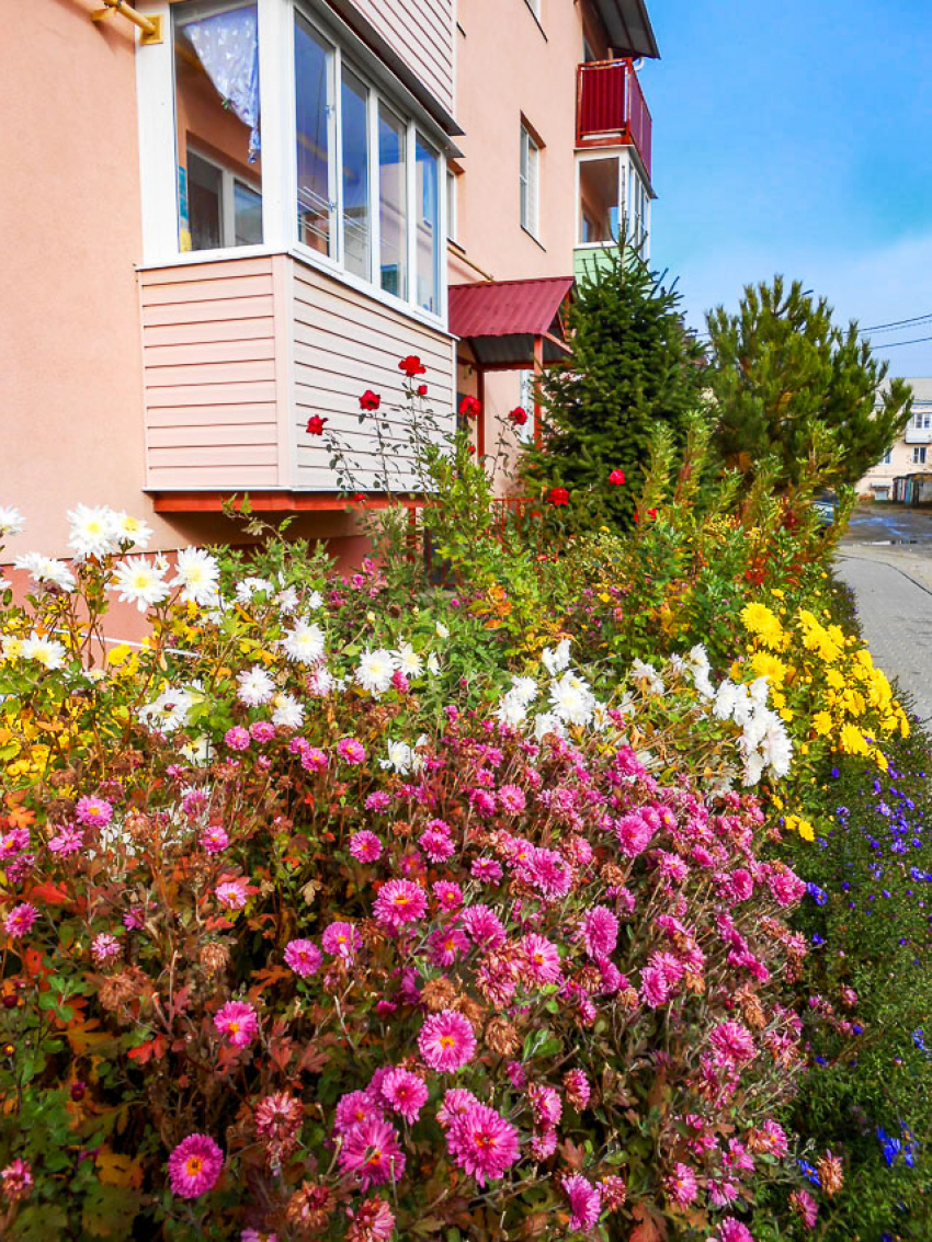 Почему в Госдуме вновь заговорили о зимнем и летнем времени