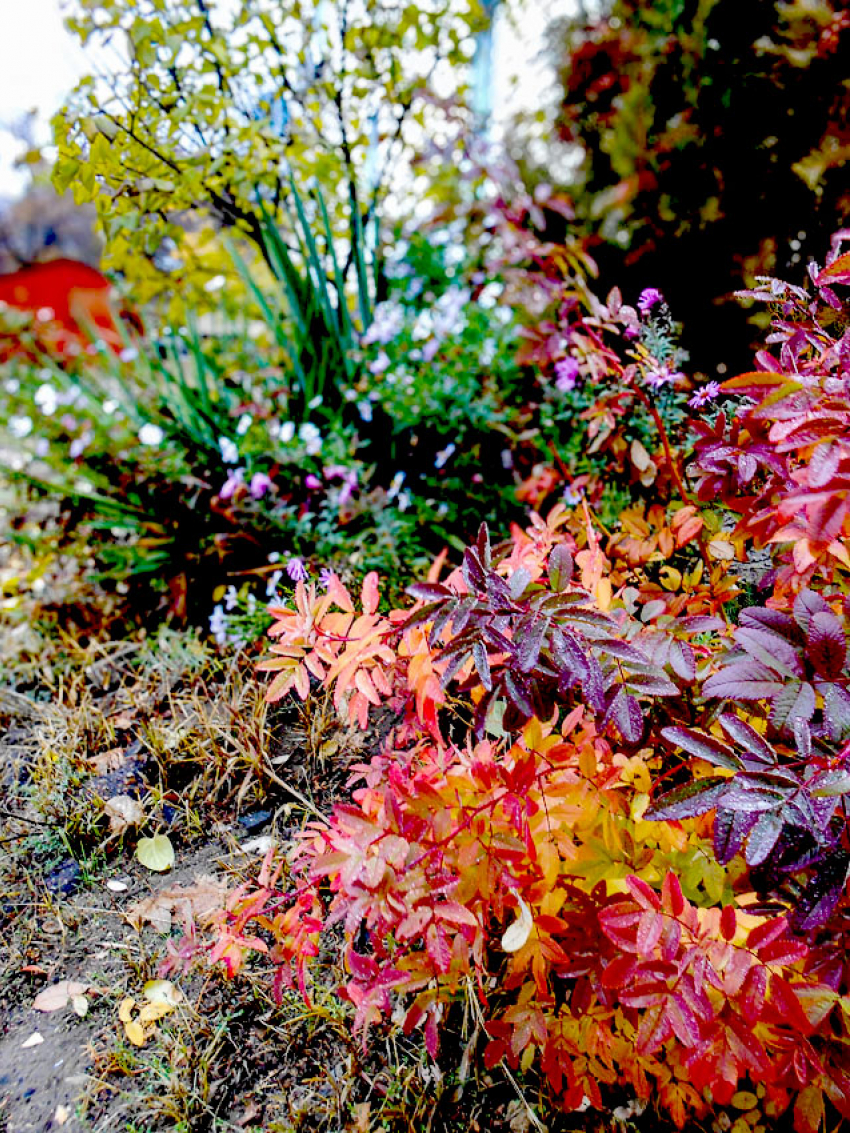 В Камышине синоптики «видят» дождь сегодня, 29 октября