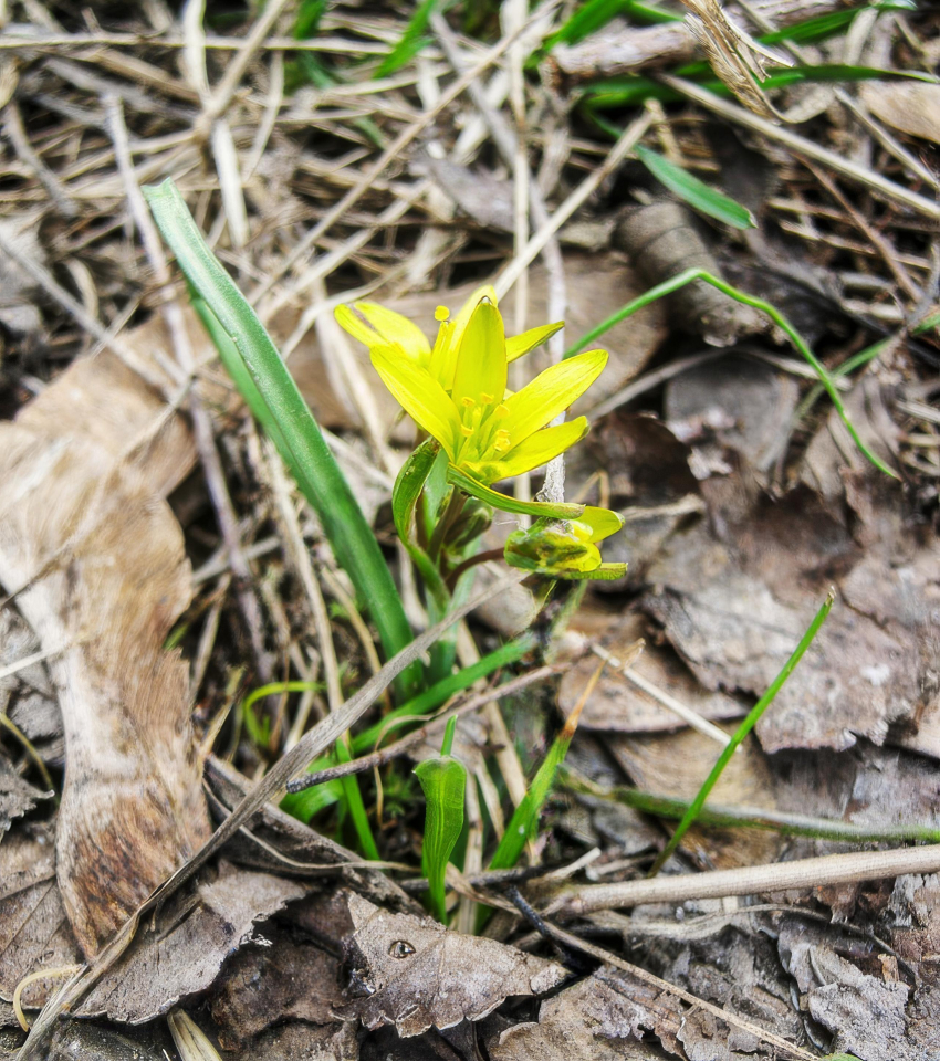 Теплые дни с освежающим ветерком: погода в Камышине в конце марта