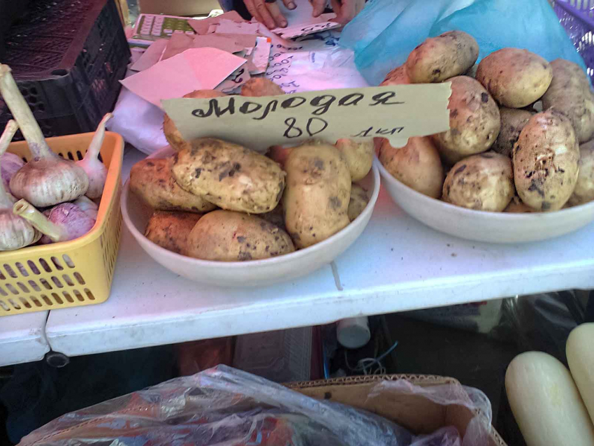 Молодая картошка держится на рынках Камышина на уровне 80 рублей за килограмм