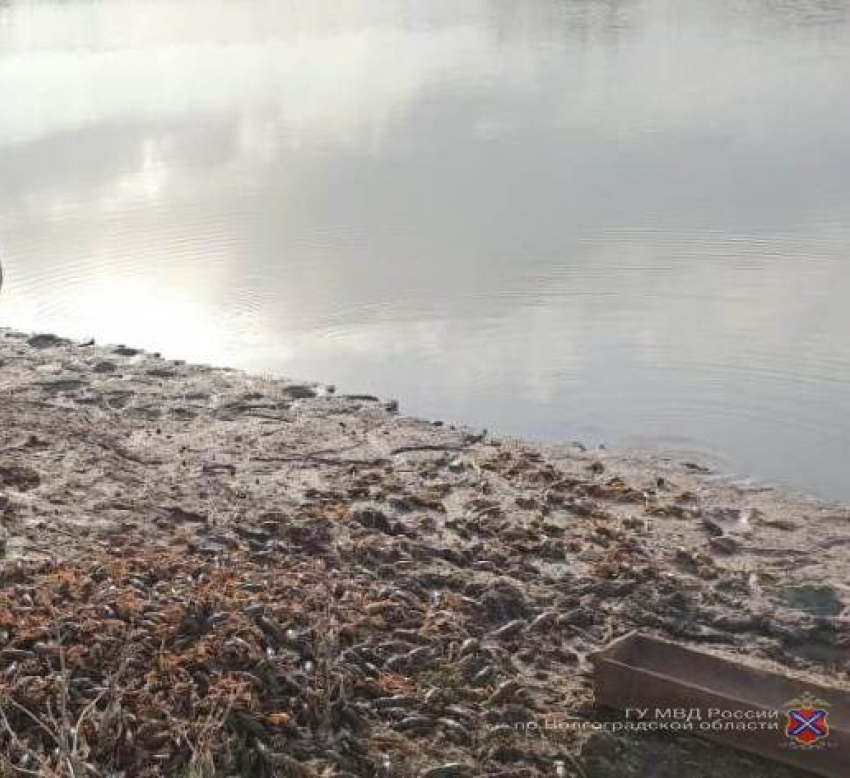Как полицейские спасали раков, выловленных браконьерами мешками на реке Еруслан