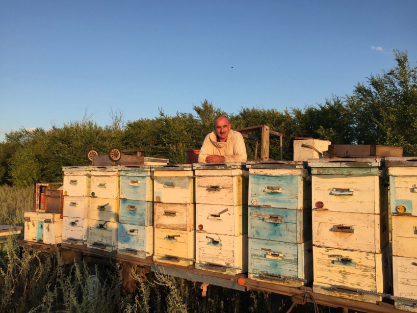 Камышинский пчеловод Владимир Казаков отправил бойцам на СВО меда к чаю и воска - для мази от ожогов