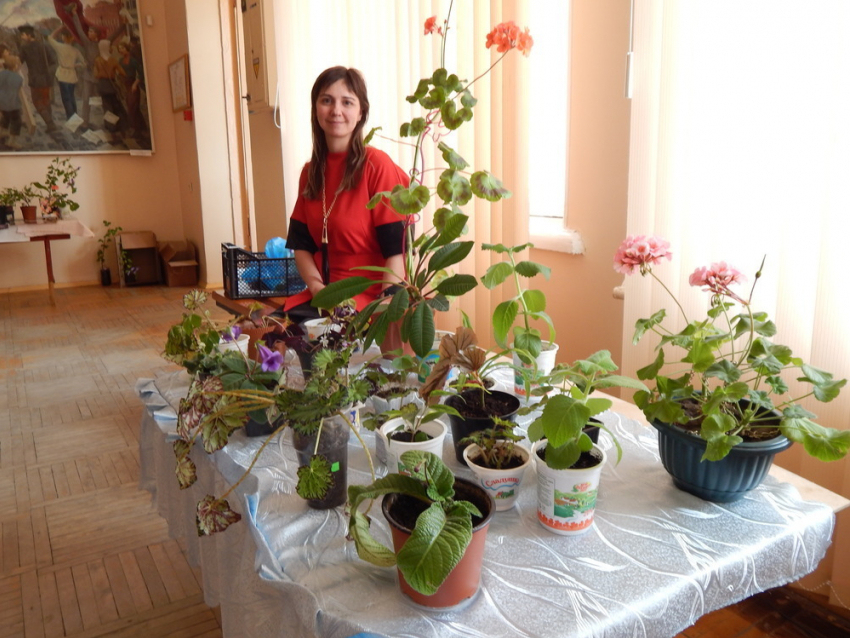 Вальс цветов: в Камышине открыта выставка комнатных растений