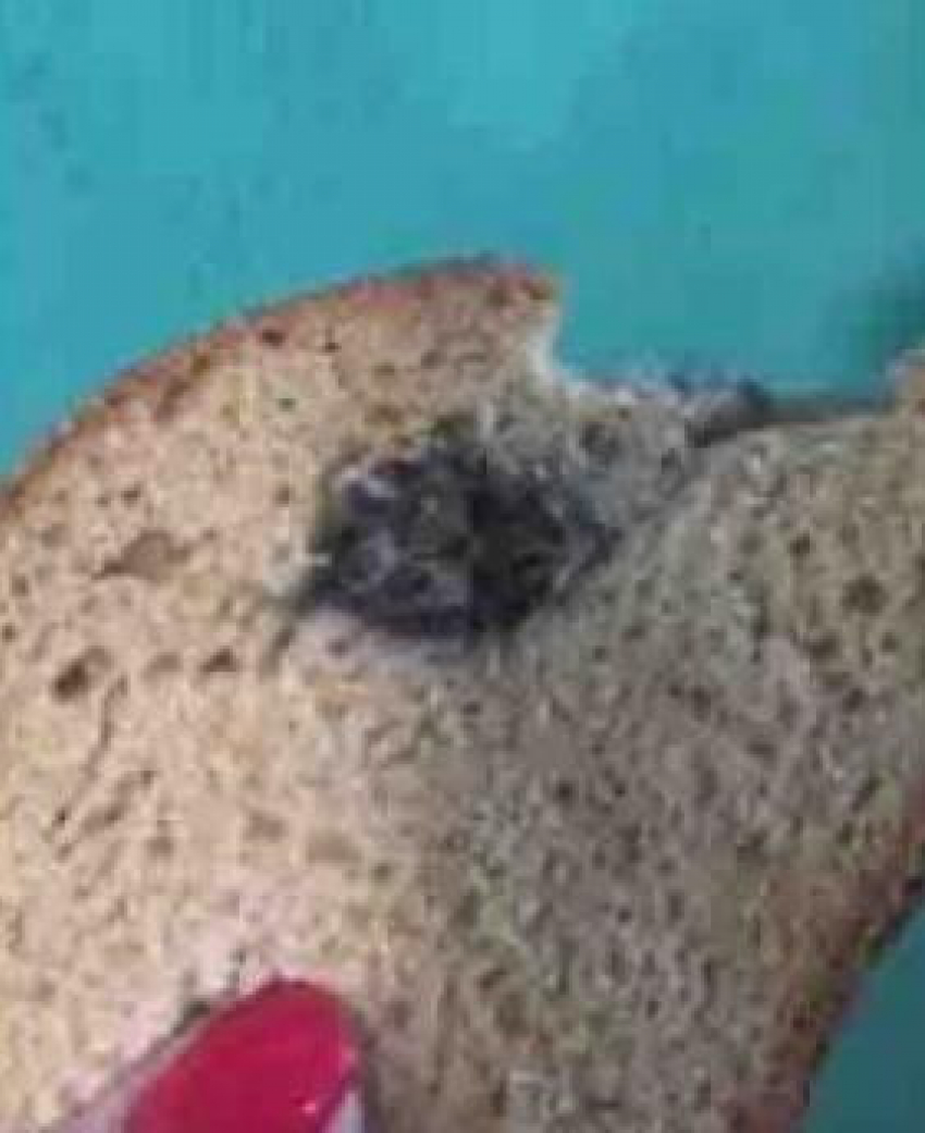 "Блокнот Камышина» получил ответ руководителя Территориального отдела Роспотребнадзора по сюжету с мышью, запеченной в хлебе