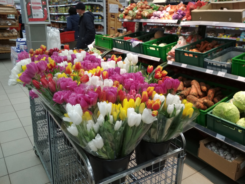 К Женскому дню синоптики обещают камышанам хорошую солнечную погоду