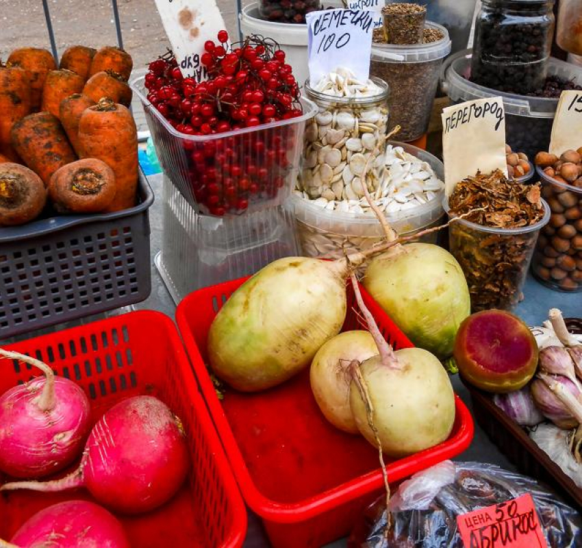 Почему специалисты Роспотребнадзора «агитируют» камышан за редьку