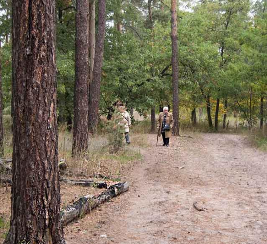 В Камышине 5 октября подтверждены 20 новых положительных диагнозов коронавируса 