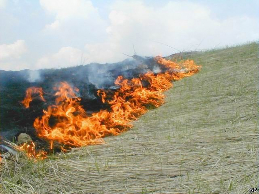 Под Камышином возгорание сухой травы на трех гектарах напоминало ландшафтный пожар