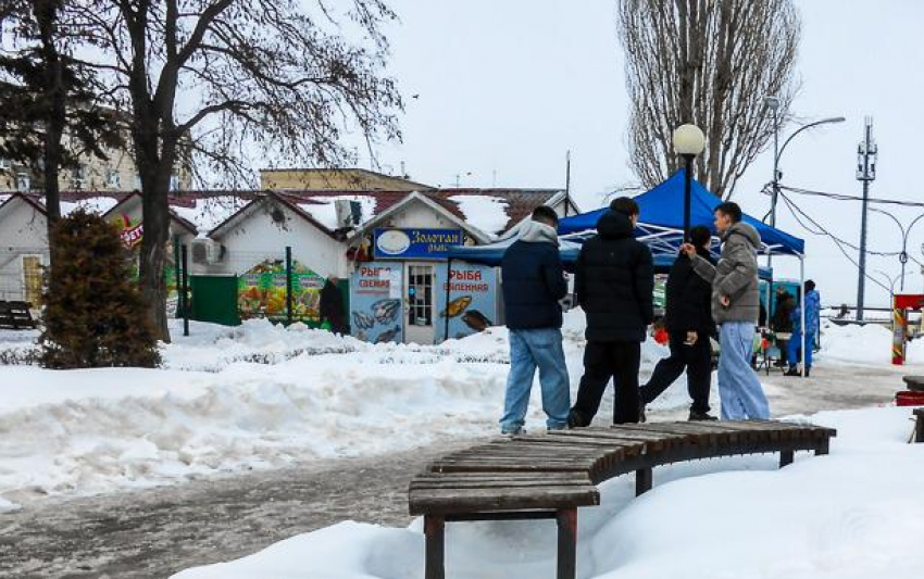 Парни из Камышина отправятся на учебные сборы для юношей