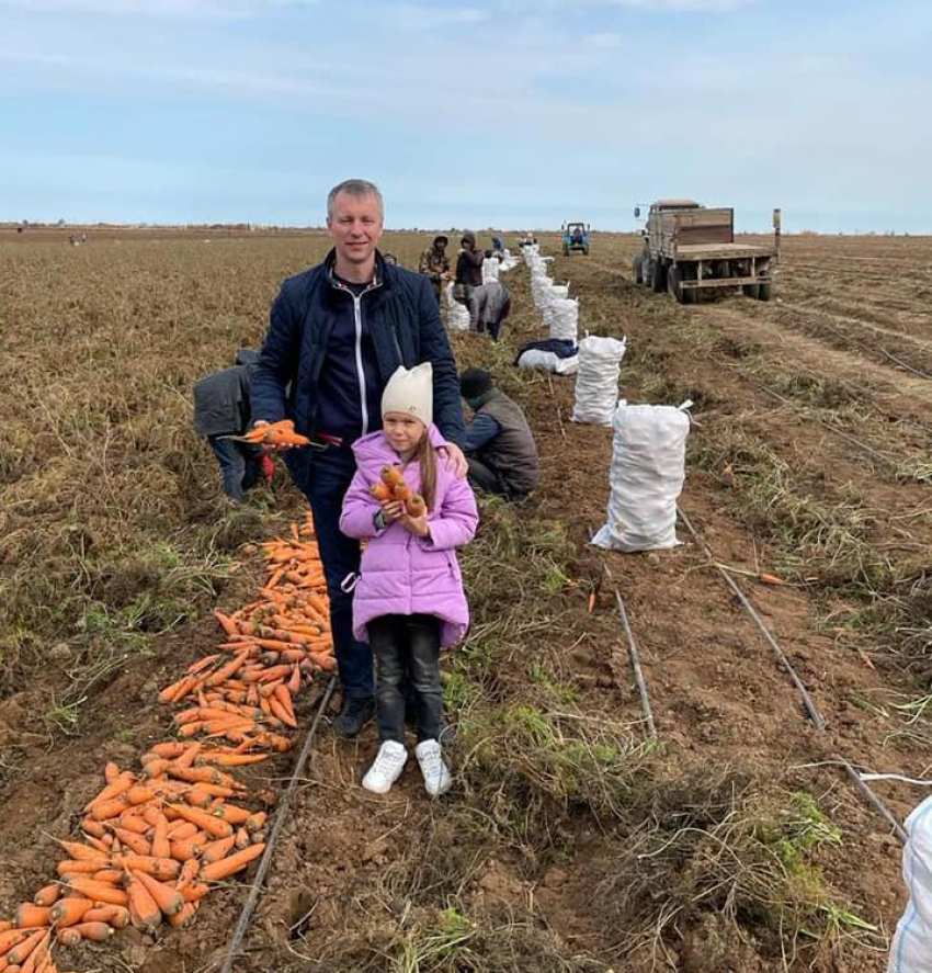 Депутат камышан в Госдуме Алексей Волоцов выехал в морковное поле, чтобы удивиться росту цен на овощи