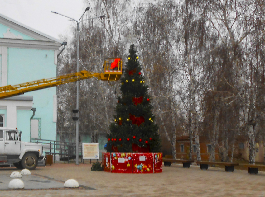 В Камышине нарядили первую уличную новогоднюю елку