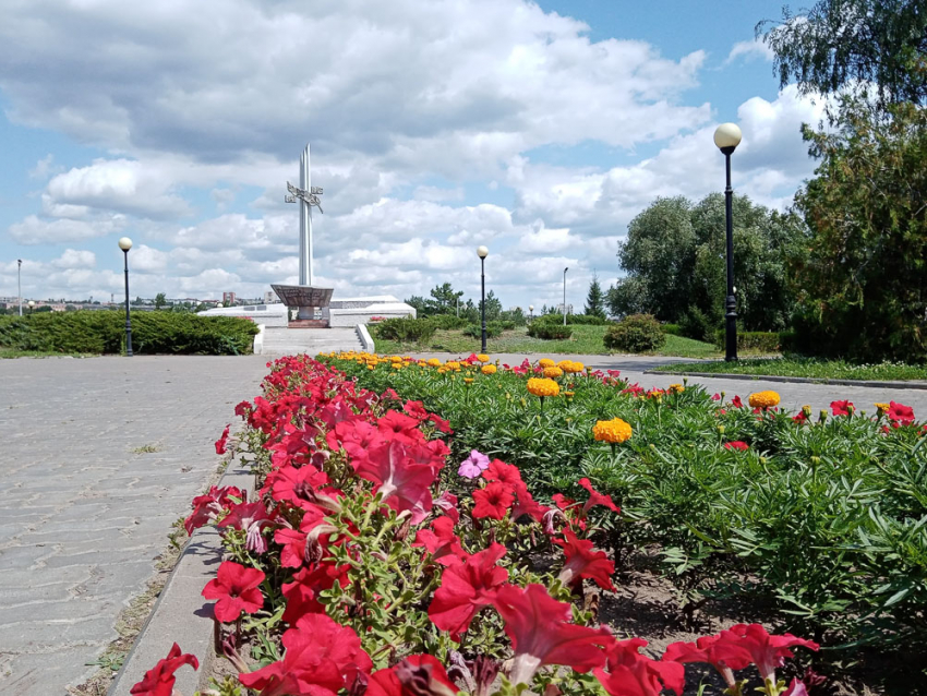 Солнечно и свежо: синоптики рассказали об отличной погоде в Камышине 29 августа