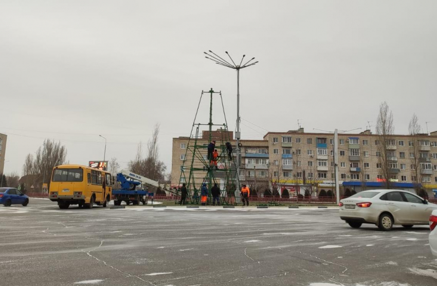 В Камышине начали монтировать самую высокую городскую елку
