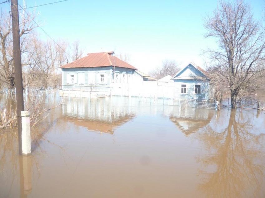 Большая вода затопила село Дворянское в Камышинском районе: власти пока с людьми не встречались
