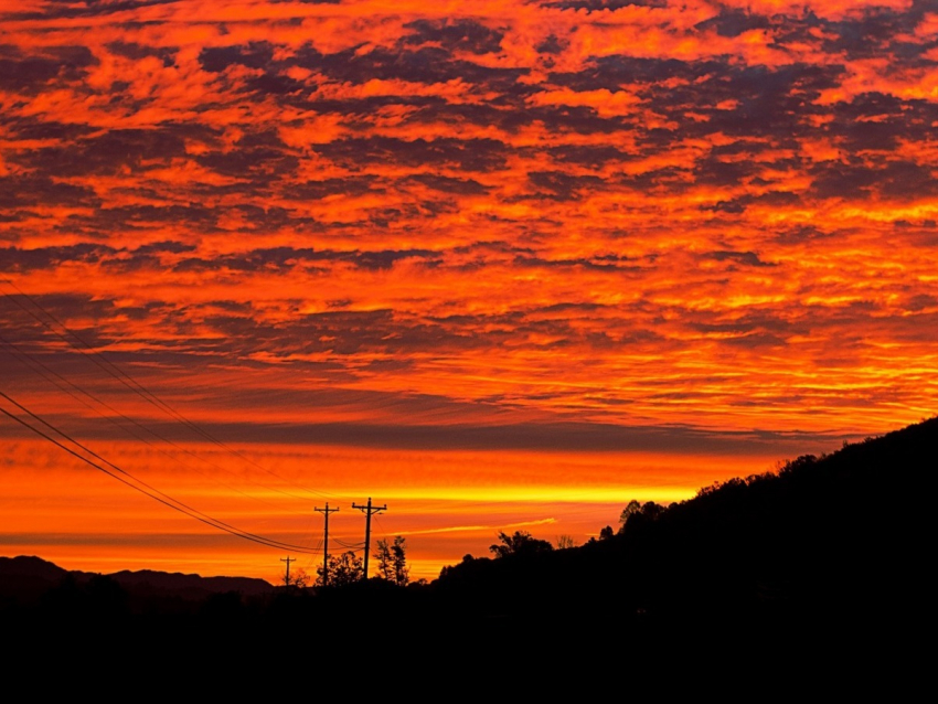 "Тело молодого человека лежит на тротуаре в луже крови"