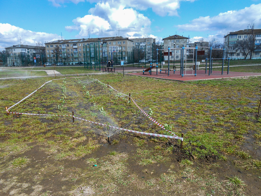 В Камышине пометили сигнальной лентой территории будущих рощ в парке Текстильщиков