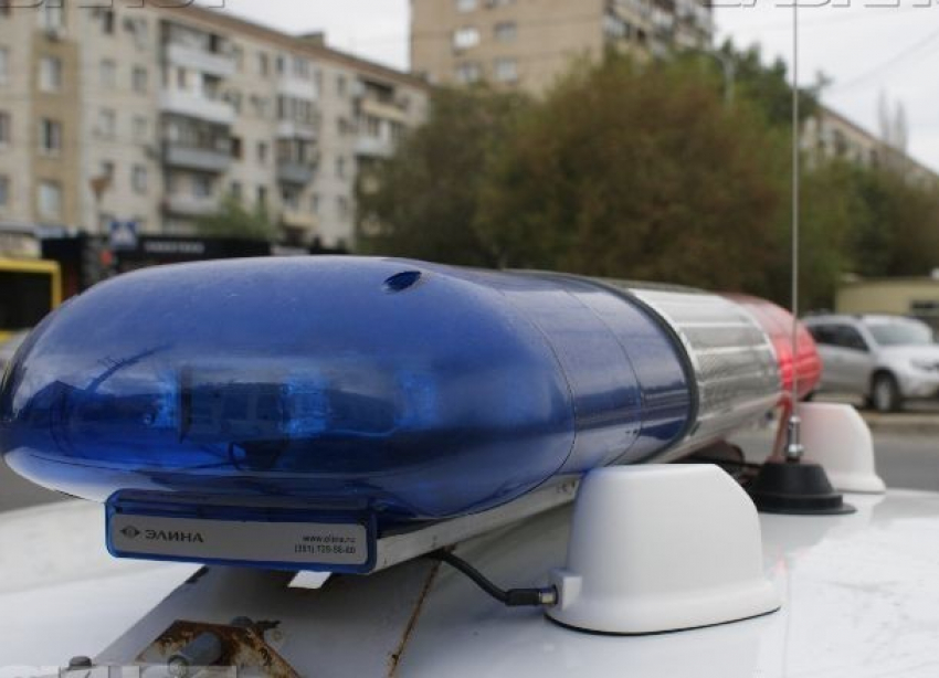 Горе-водитель обвинил главу ГИБДД в наезде и покусал полицейского, - «Блокнот Волгограда"