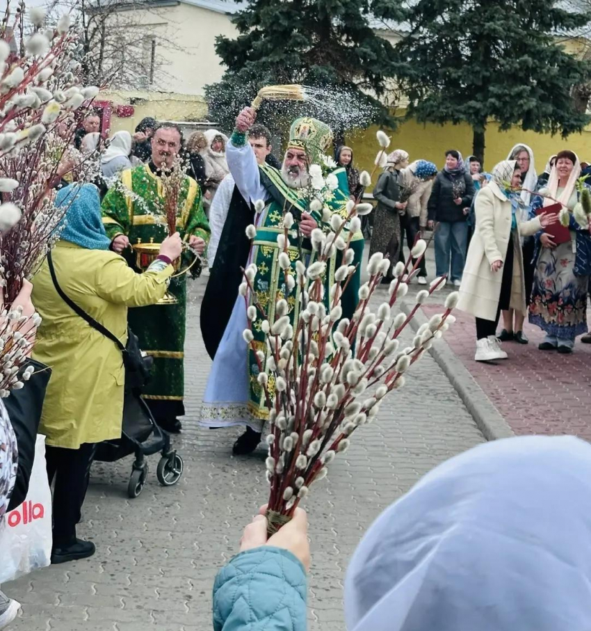В Камышине в Никольском соборе сегодня, в Вербное воскресенье, проходит освящение пушистых букетиков