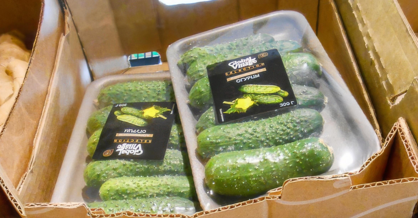 Салат со свежими огурцами становится роскошью для камышан