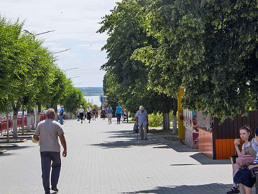 Камышане ежедневно попадают в сводку заражений COVID, хотя ряд муниципалитетов Волгоградской области выходят из грустной статистики