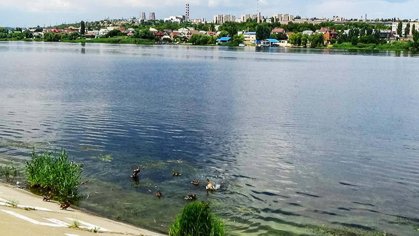 Где в Камышине отключат свет и горячую воду сегодня, 10 июля