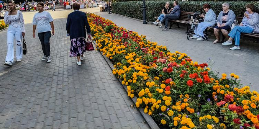 В Камышине явка в первый день голосования превысила среднеобластной показатель